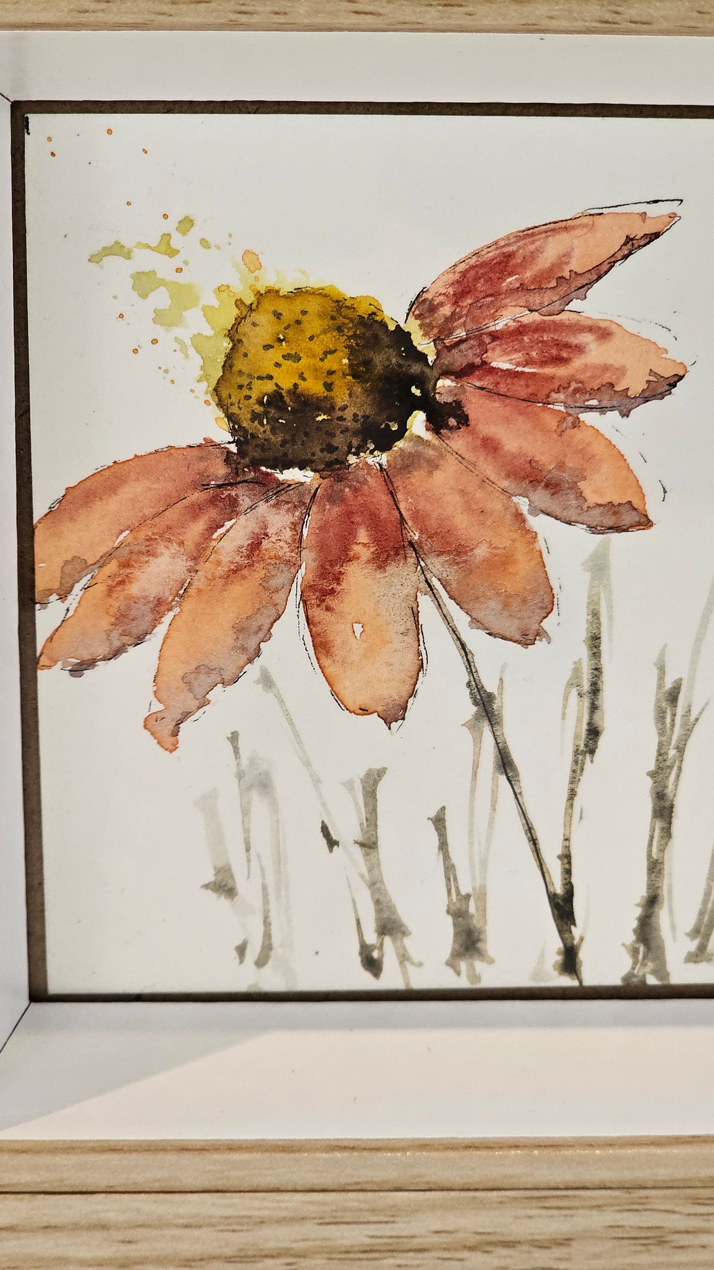 La Marguerite .
