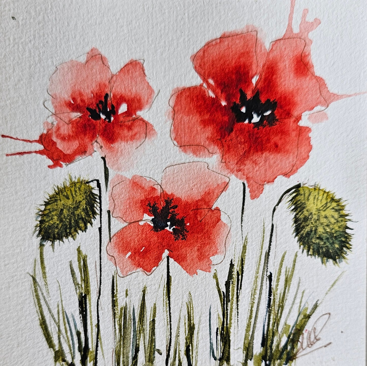 Les coquelicots de Monique