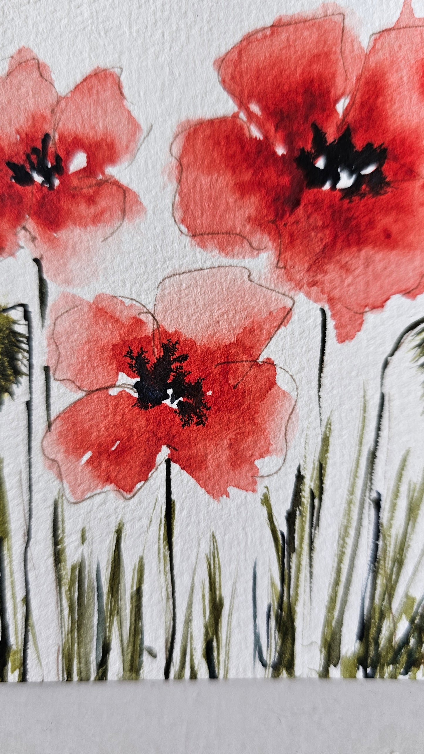 Les coquelicots de Monique