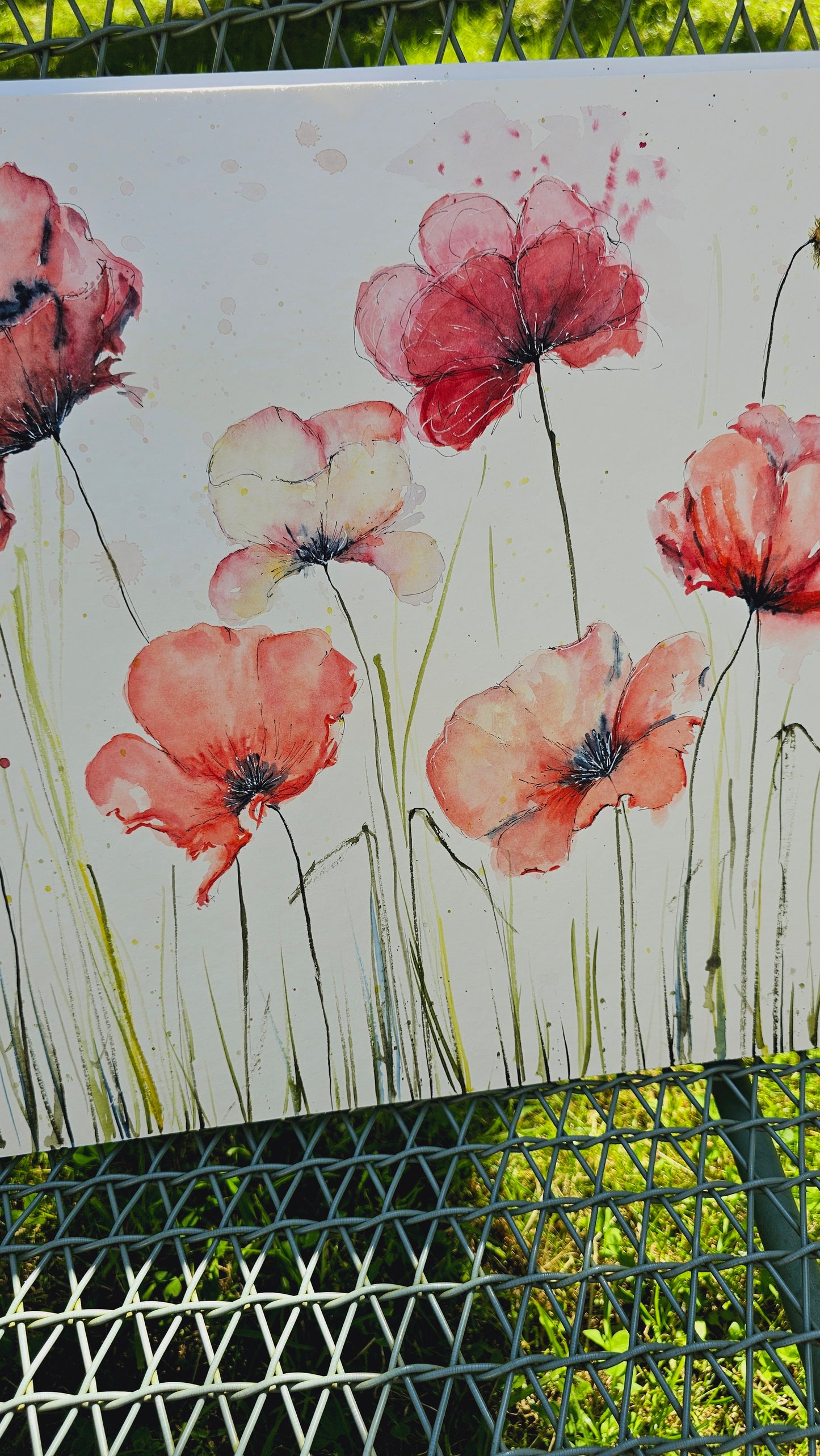 BIG POPPYS