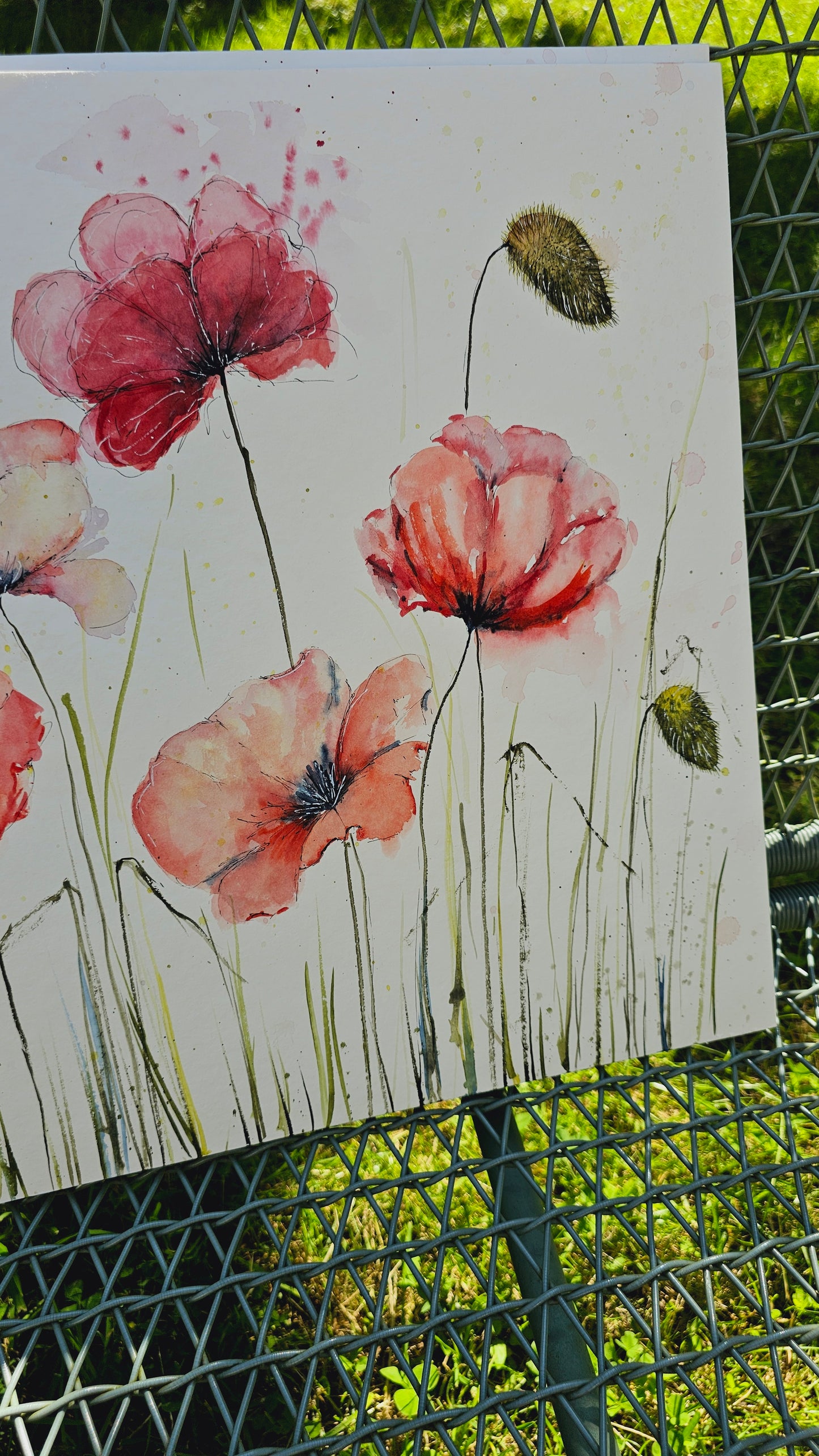 BIG POPPYS