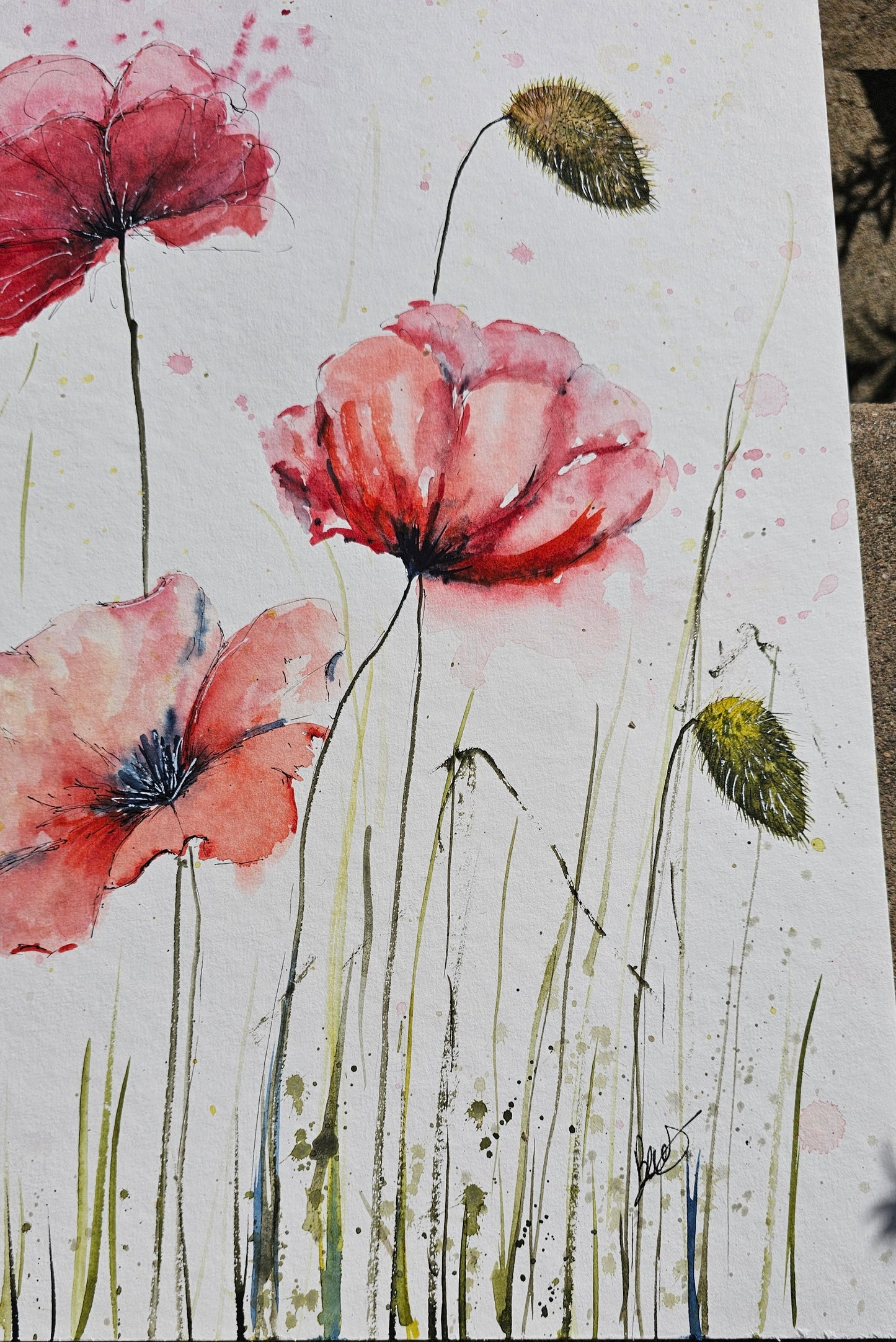 BIG POPPYS