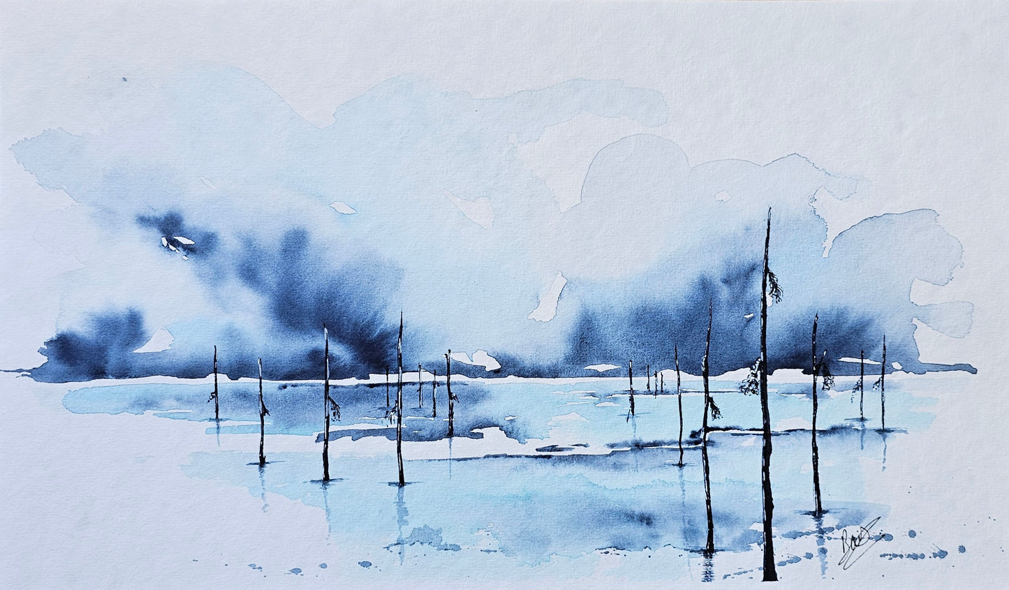 ciel d'orage sur le bassin