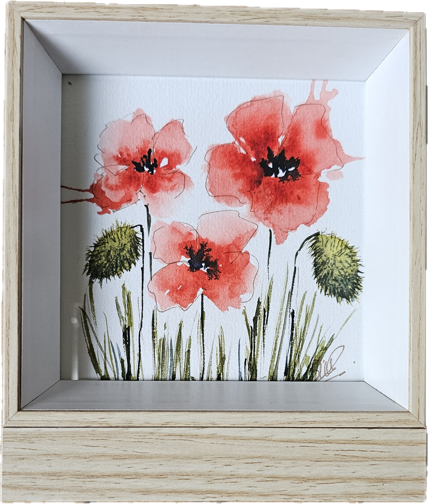 Les coquelicots de Monique
