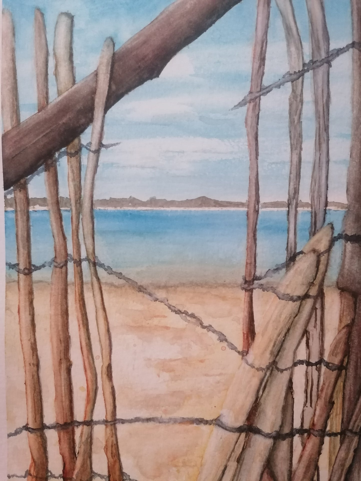 Le bassin d'Arcachon à travers les ganivelles
