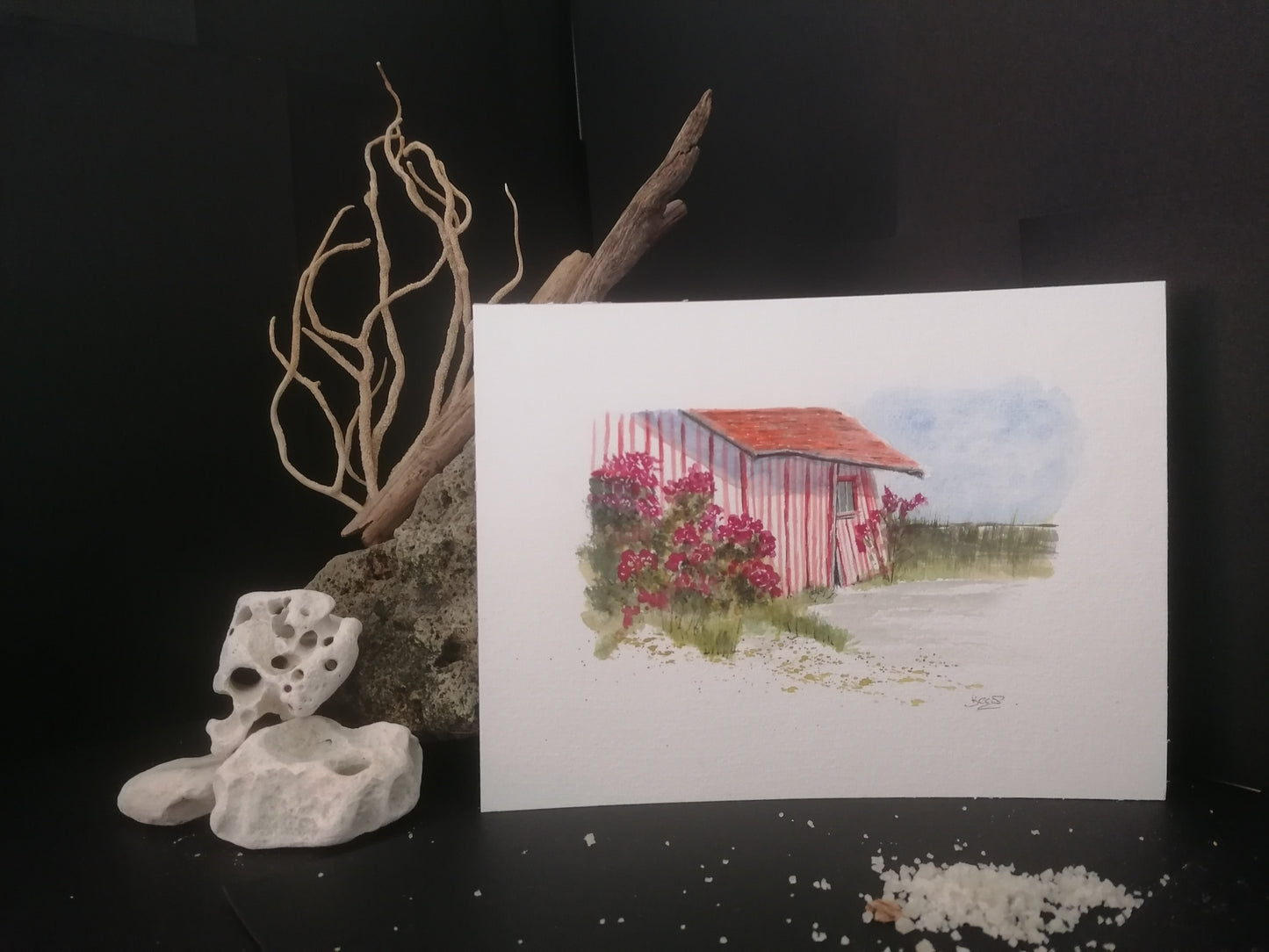 la cabane à huîtres en pyjama rayé