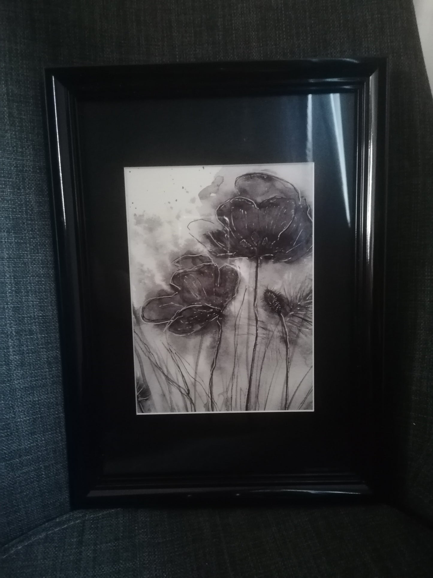 Les Coquelicots de juin