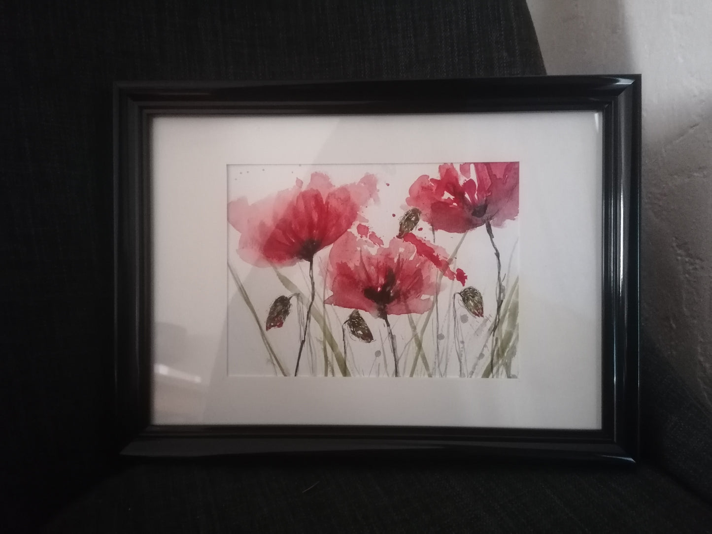 Les coquelicots du mois d'avril