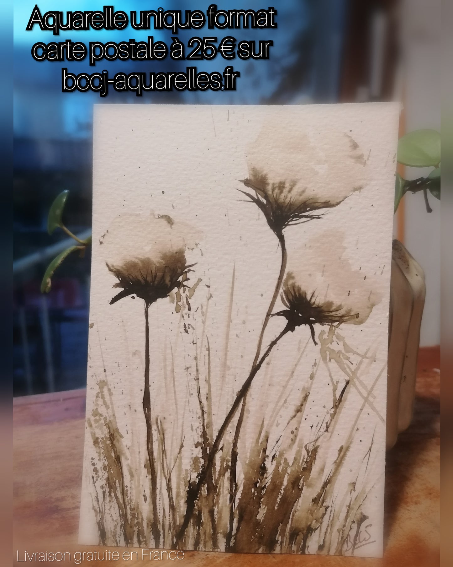 Les fleurs de coton première
