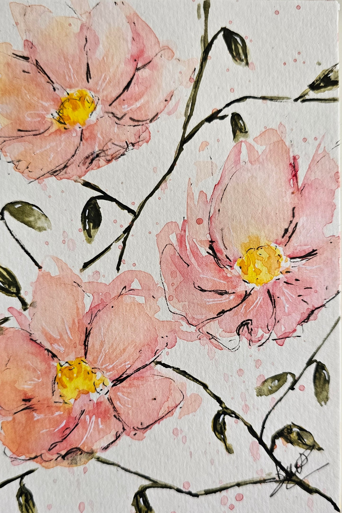 La douceur du rose