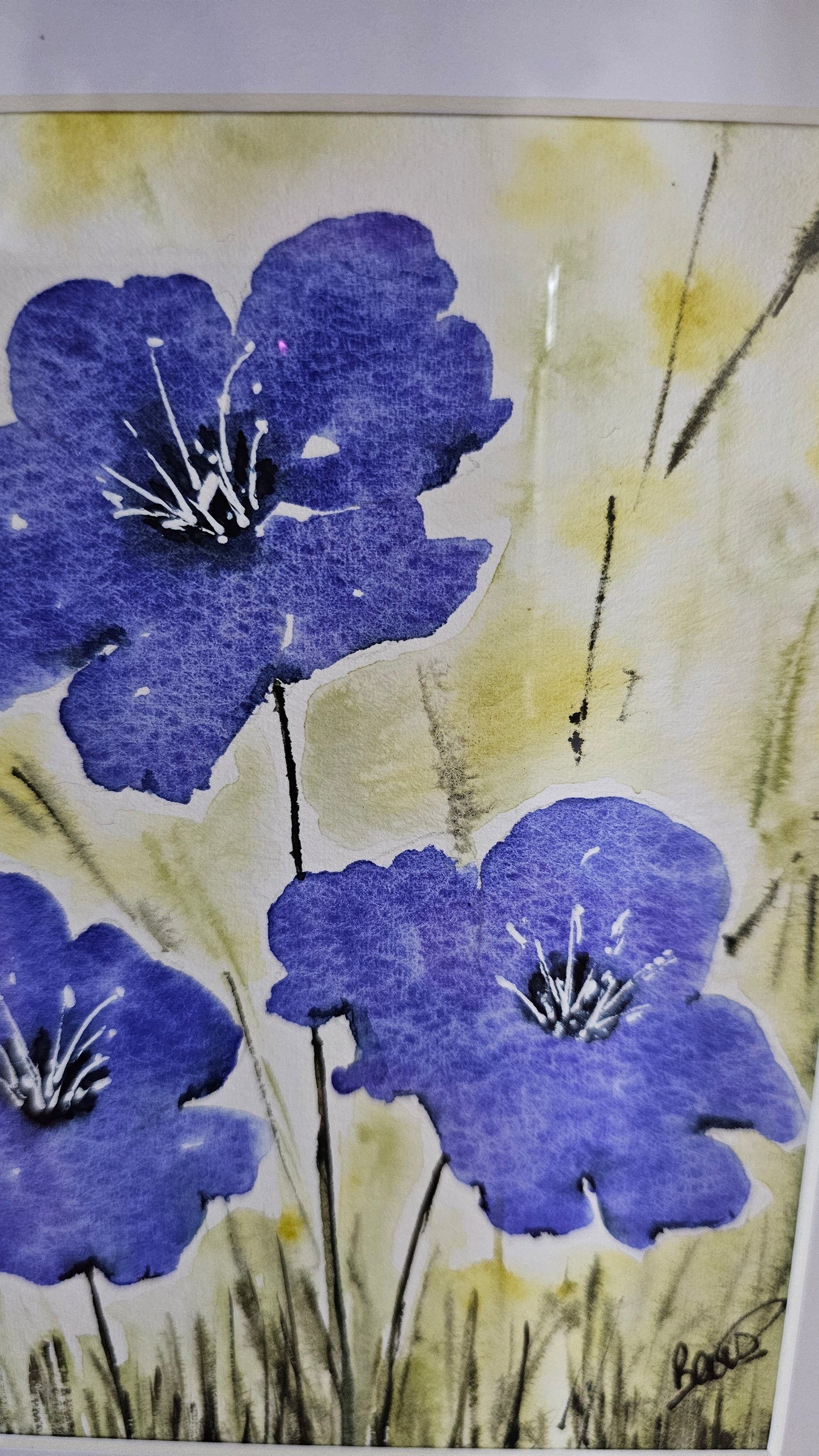Un petit bout de jardin
