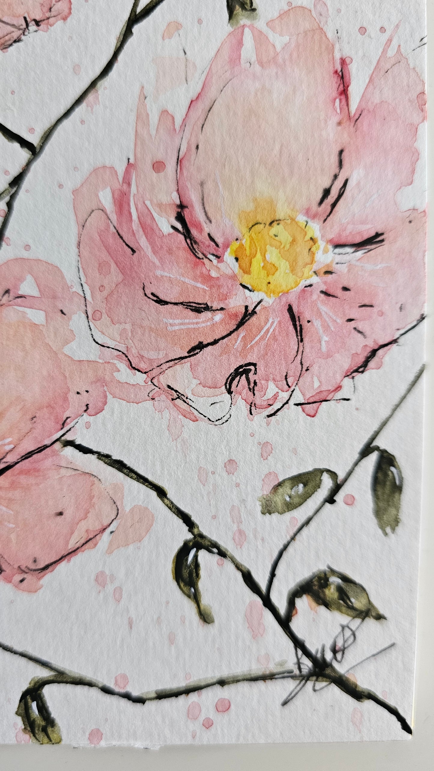 La douceur du rose