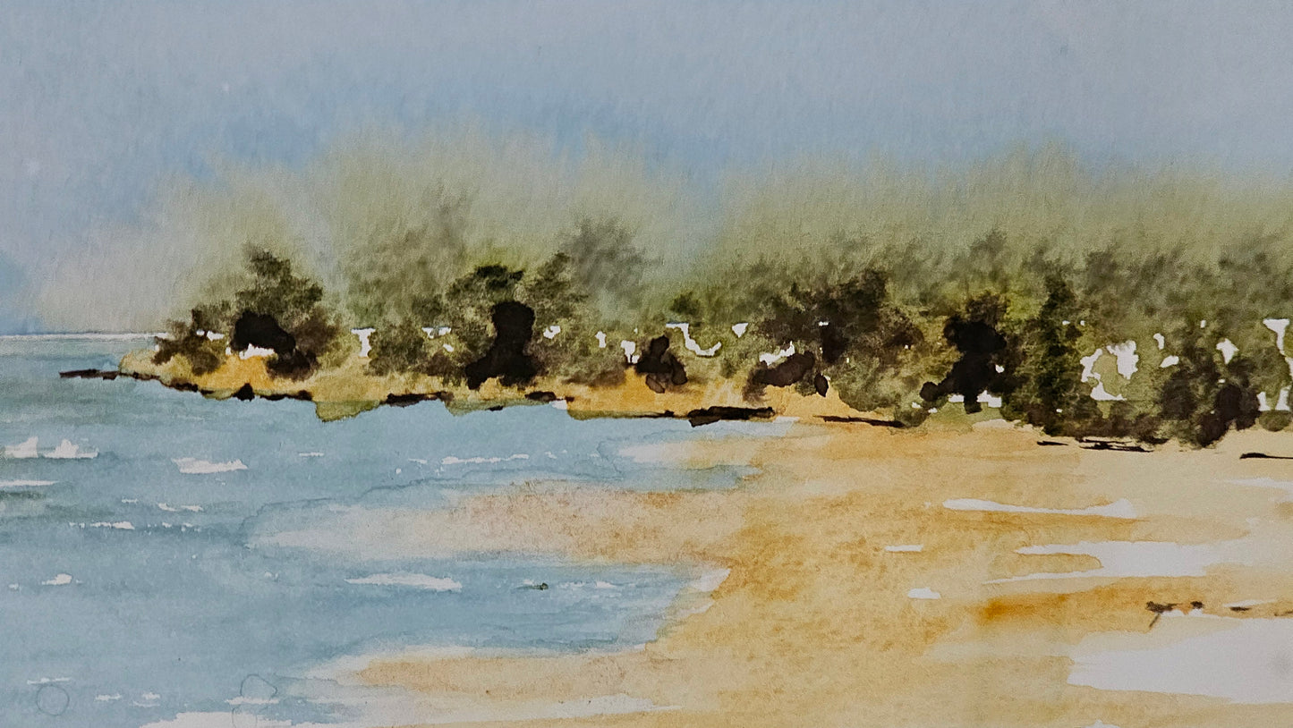 Quelque part à la Turballe