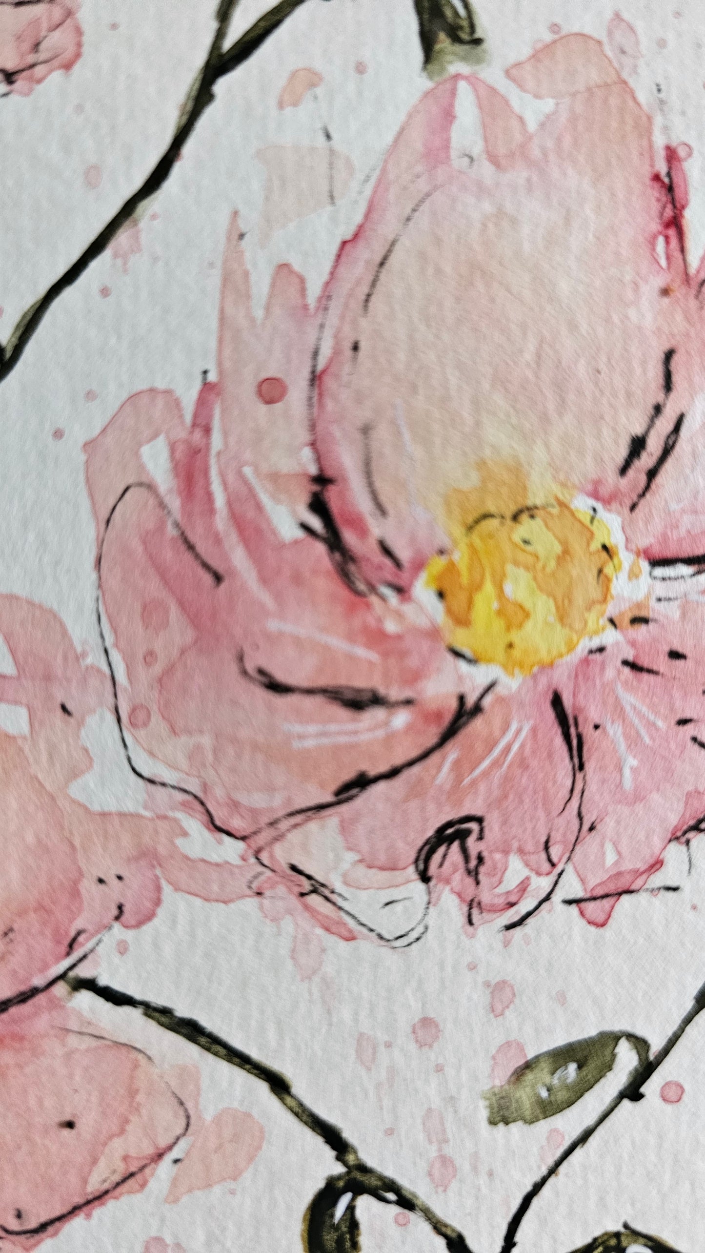 La douceur du rose