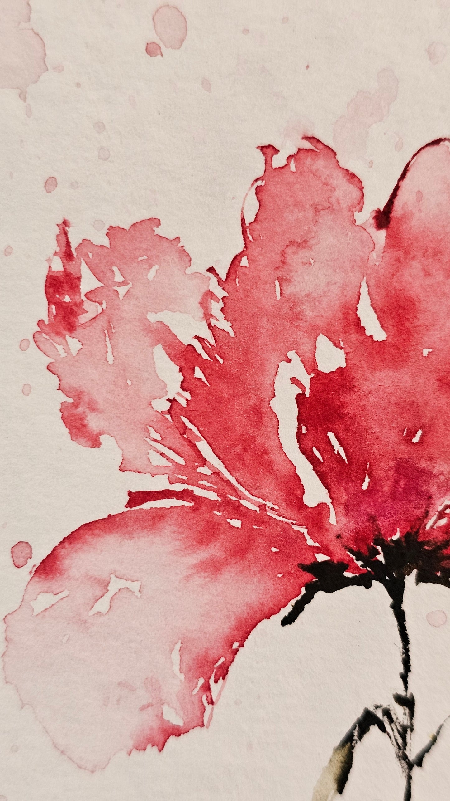 La douceur du rose