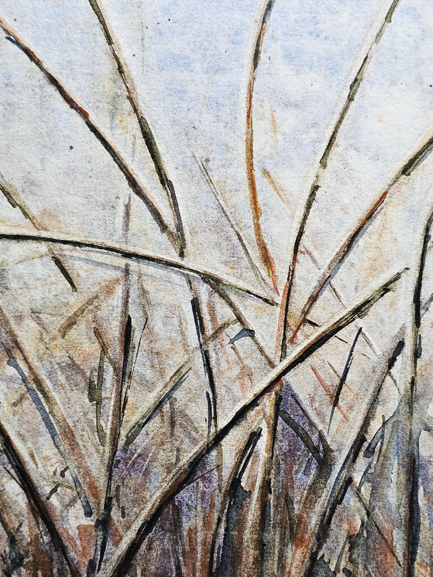 HIVER VEGETAL : UNE BEAUTE ENDORMIE N°4