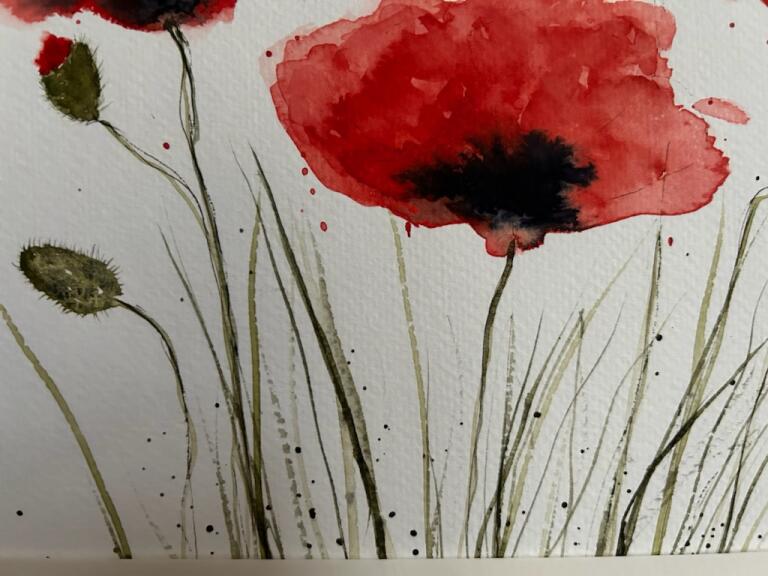 Les coquelicots au bord du chemin