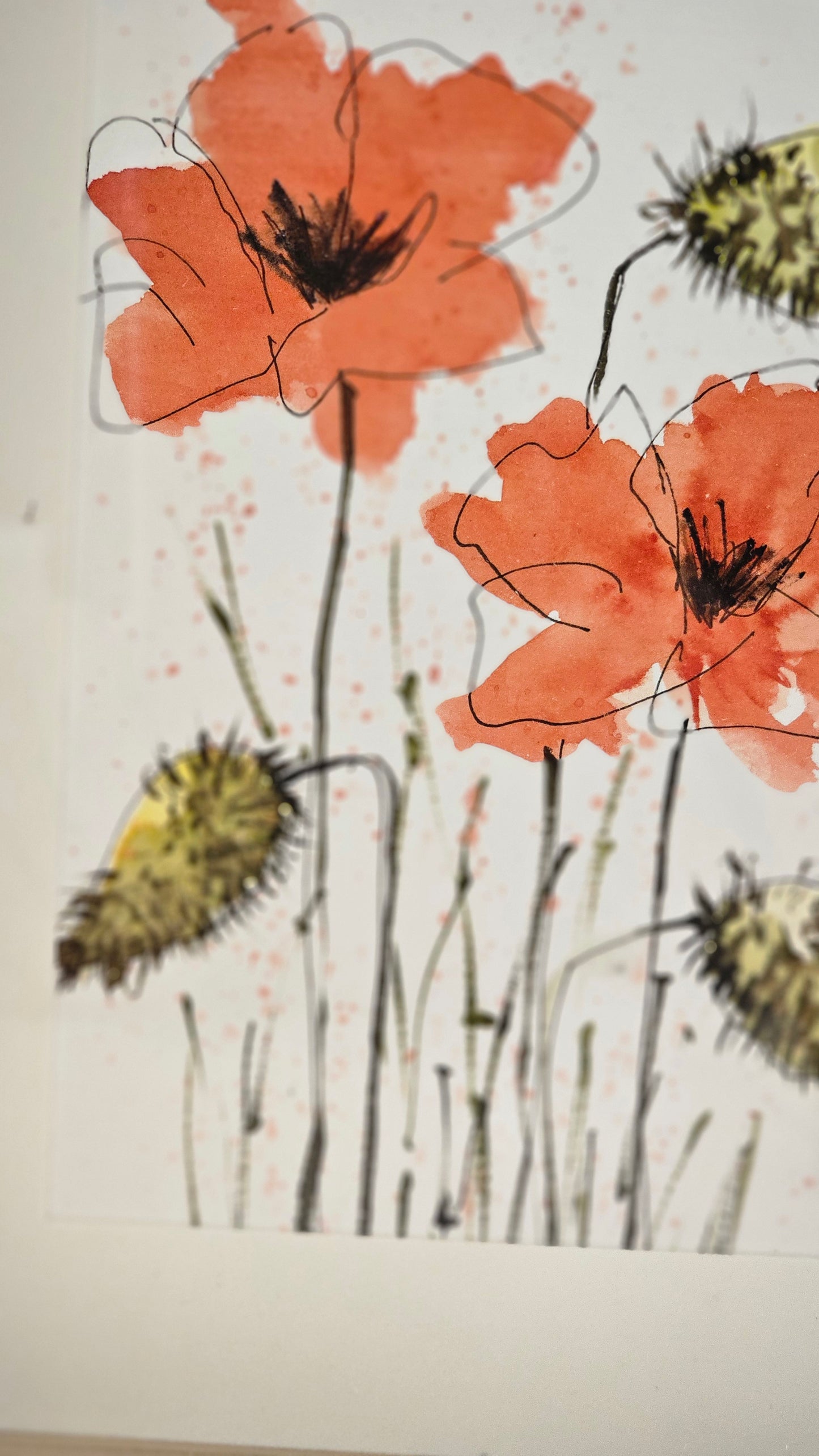 Les coquelicots