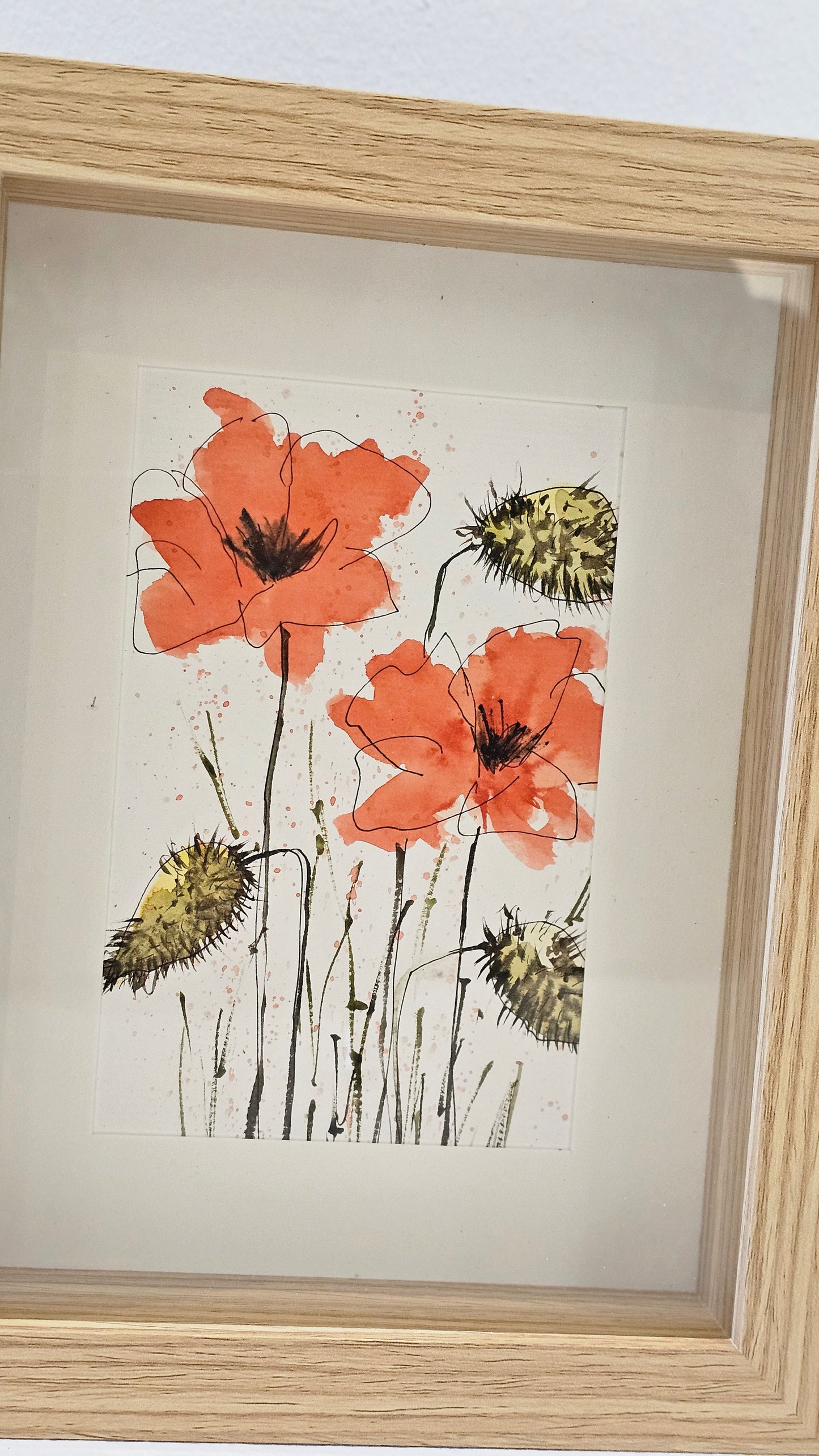Les coquelicots