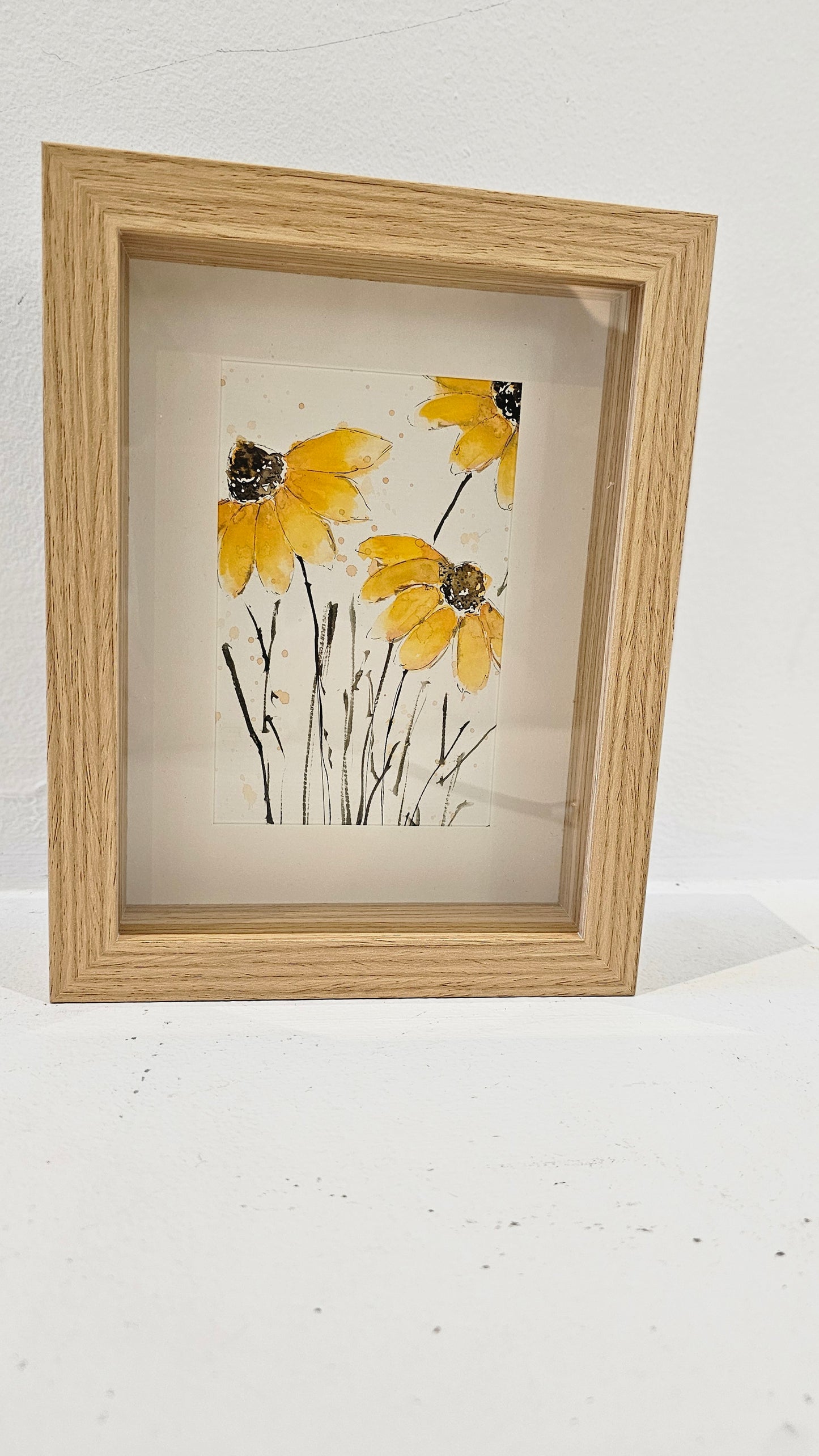 Rudbeckia