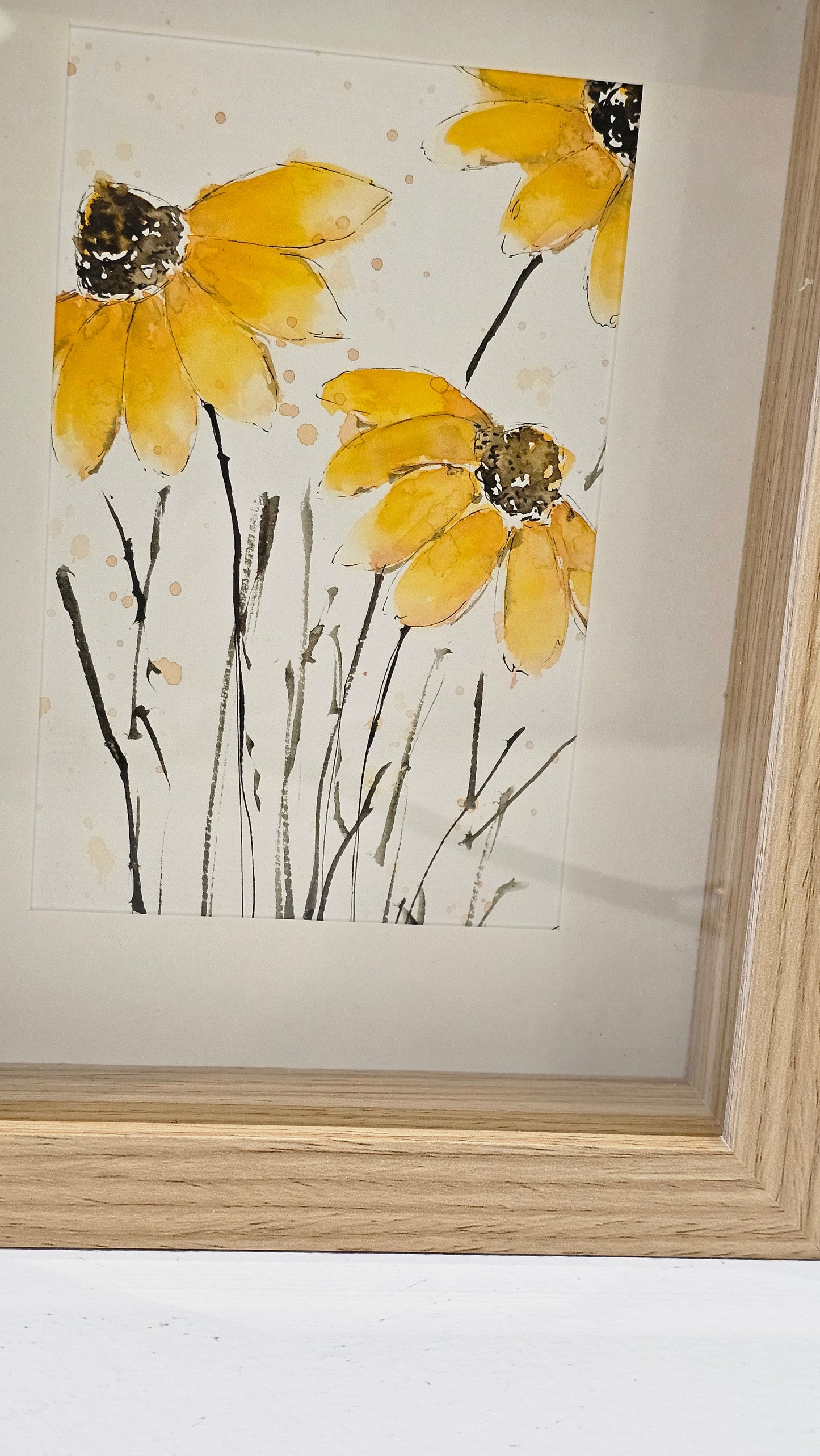 Rudbeckia