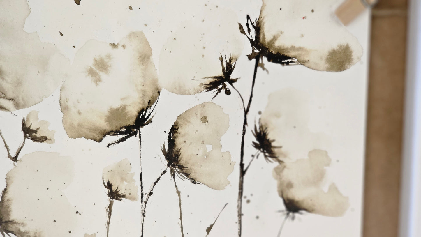 Fleurs de coton
