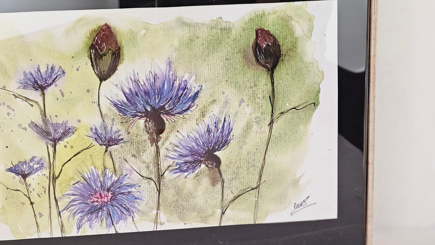 Les bleuets