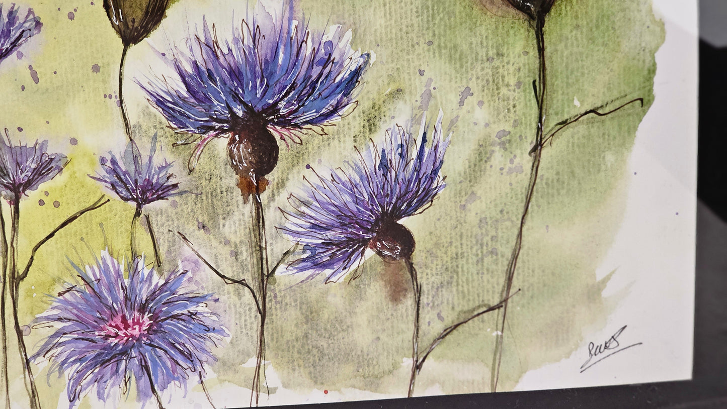 Les bleuets