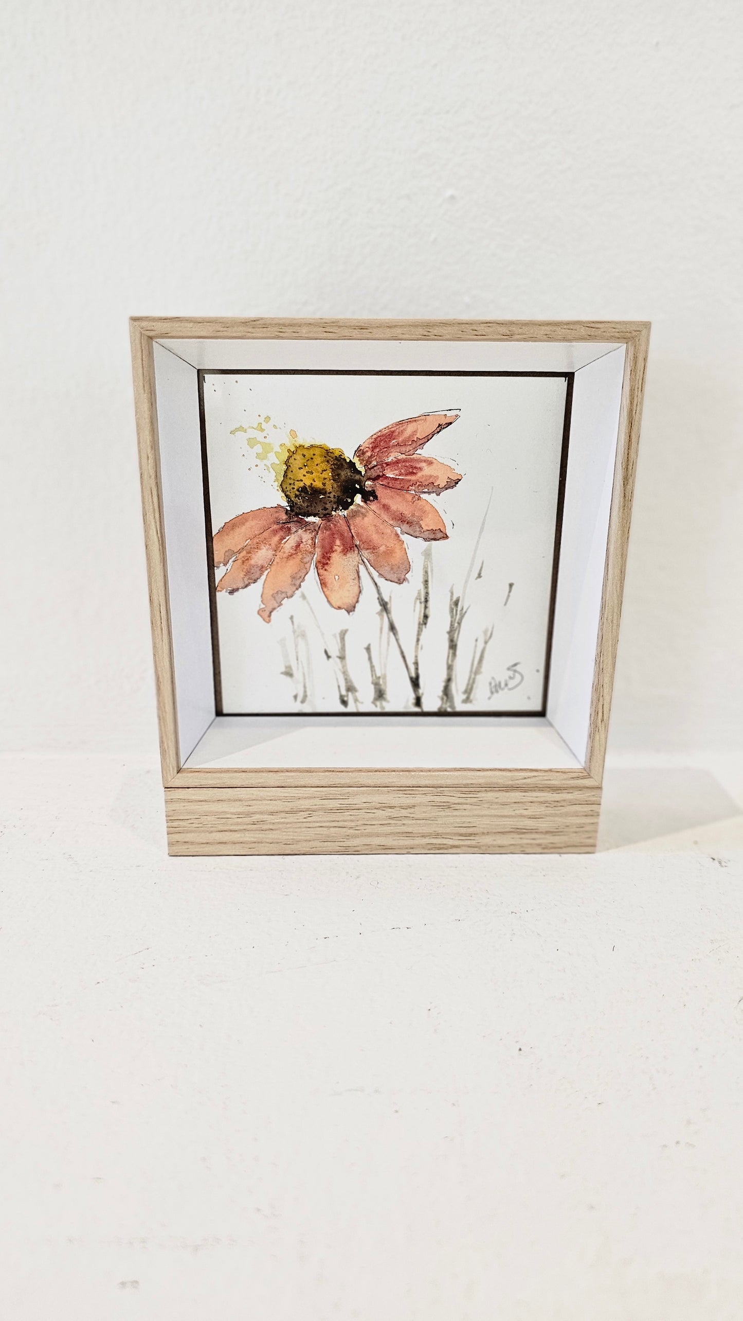 La Marguerite .