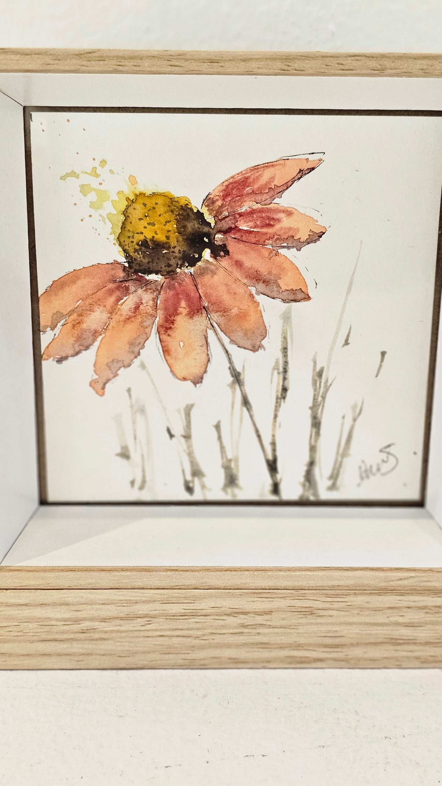 La Marguerite .