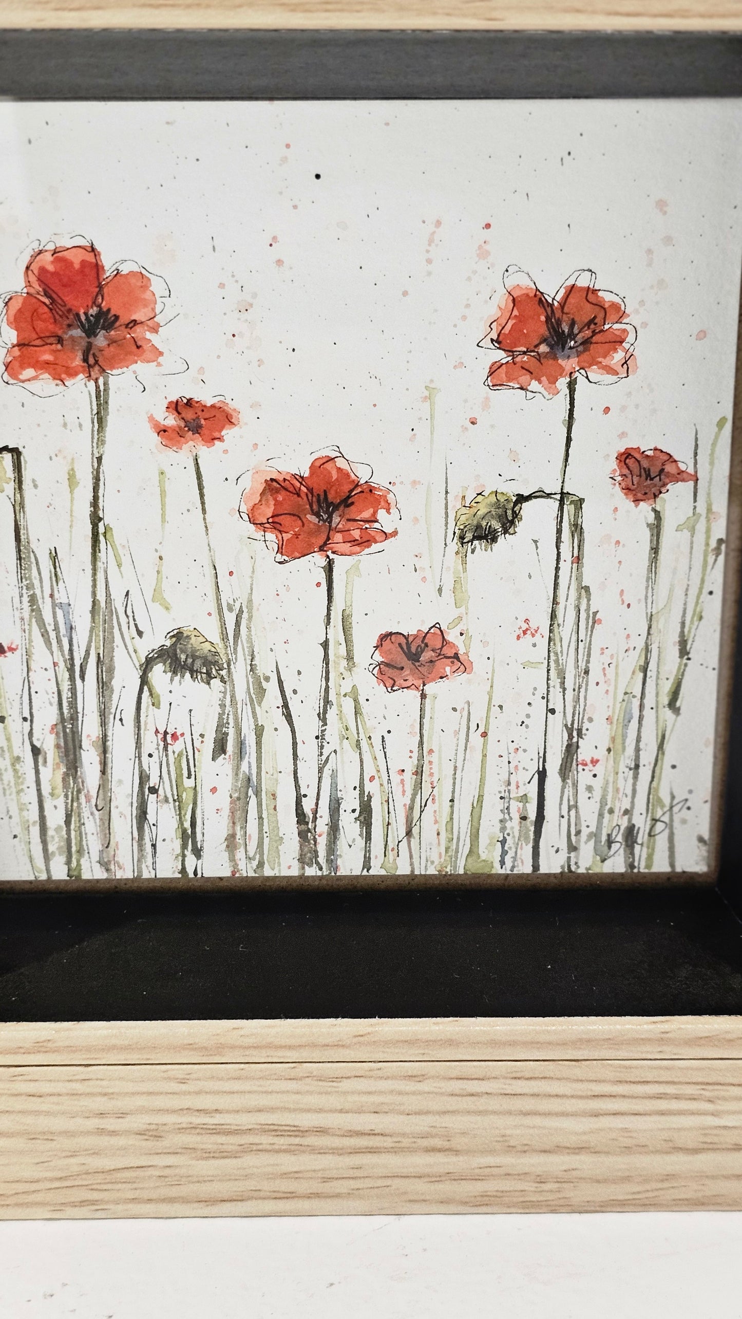 Le champ de coquelicots