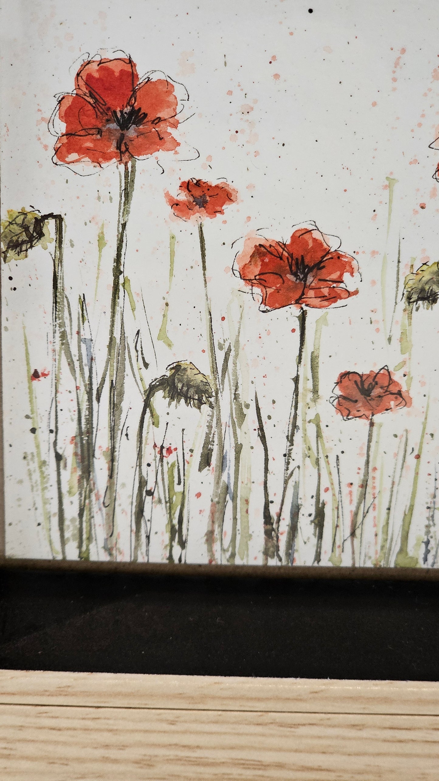 Le champ de coquelicots