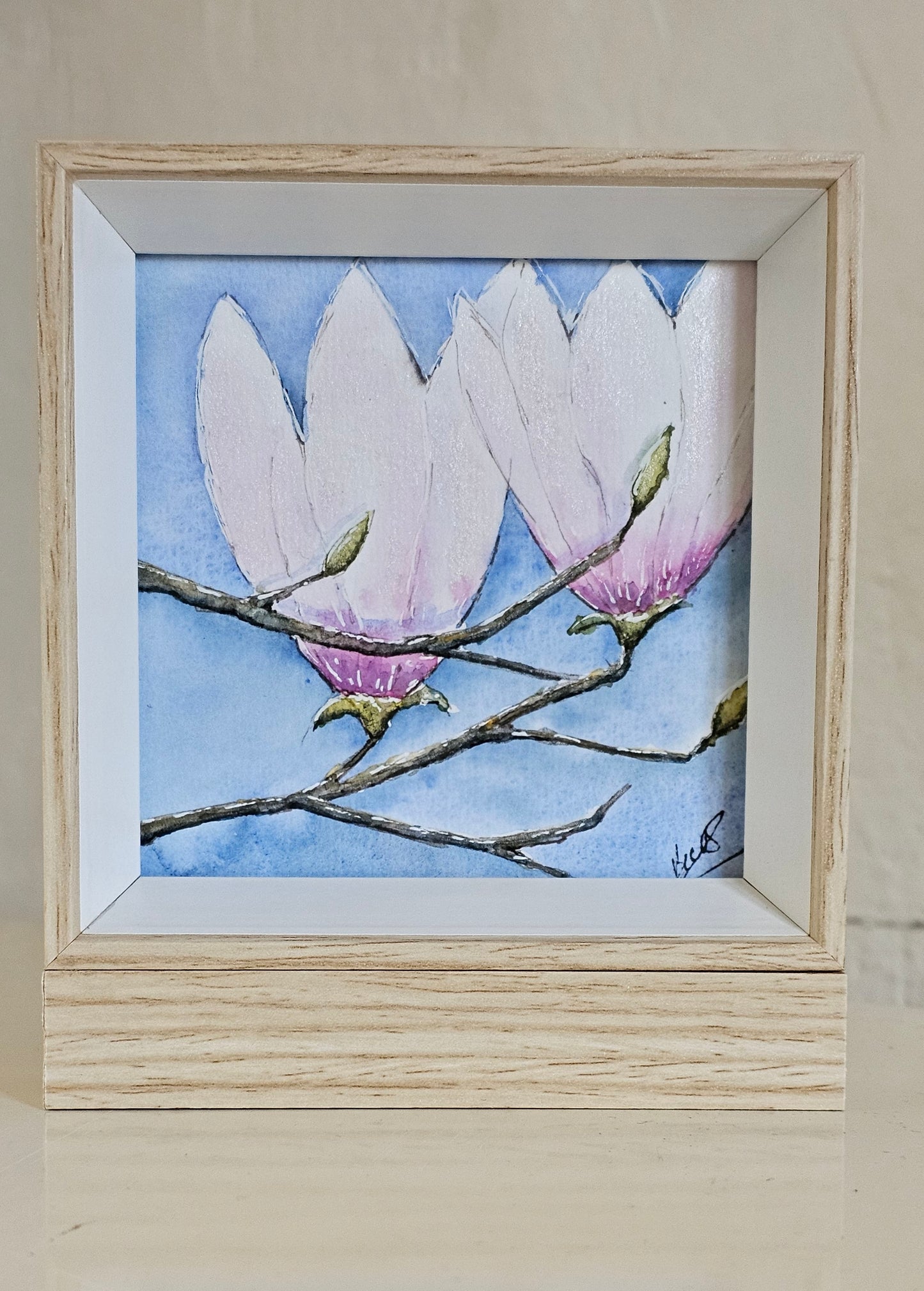 Magnolia