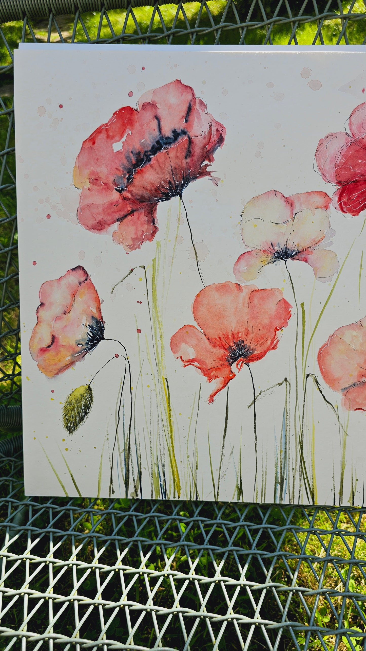 BIG POPPYS