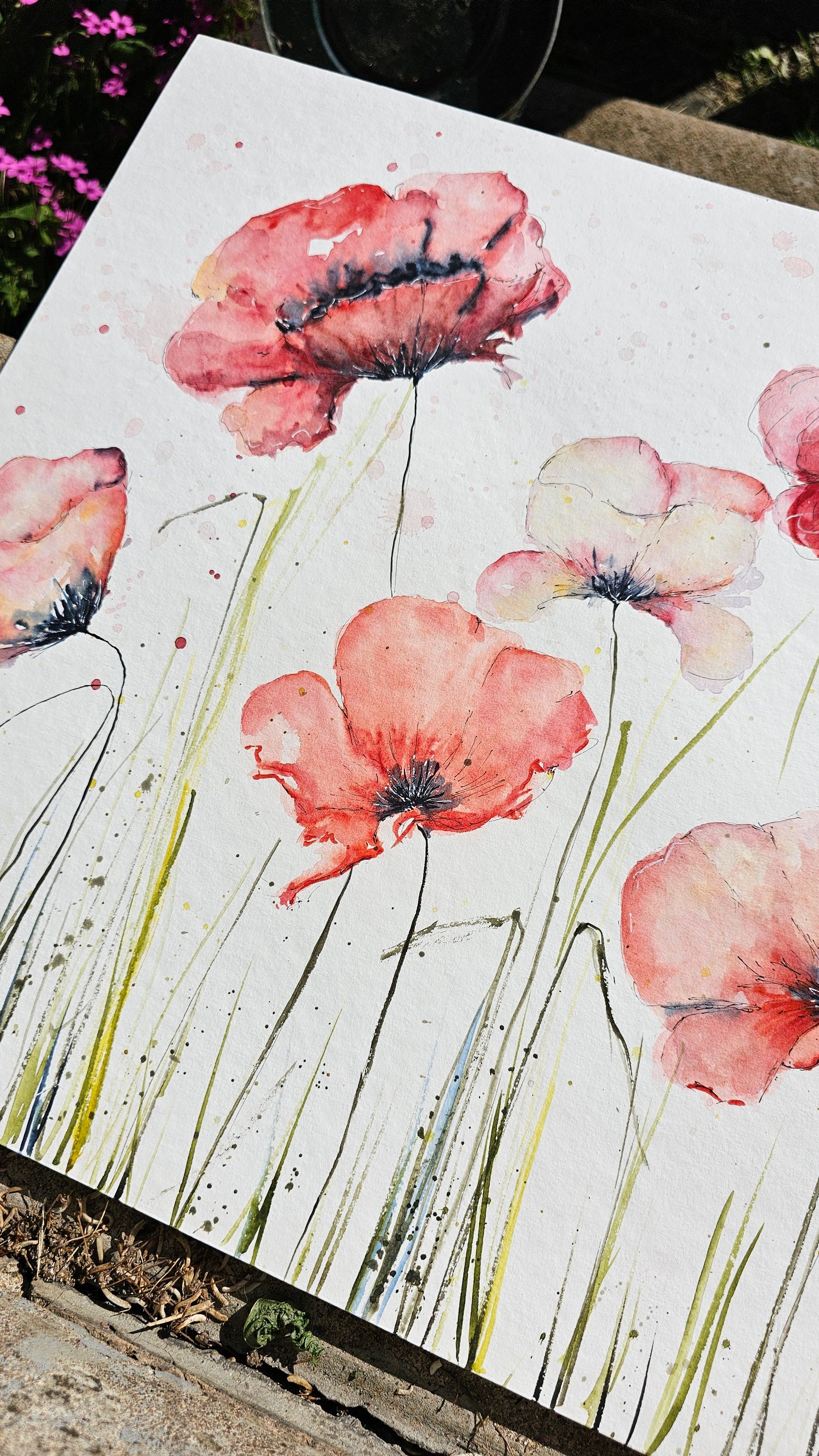 BIG POPPYS
