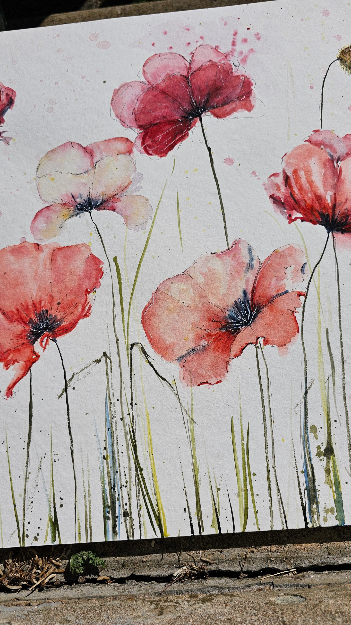 BIG POPPYS