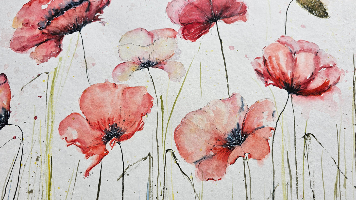 BIG POPPYS