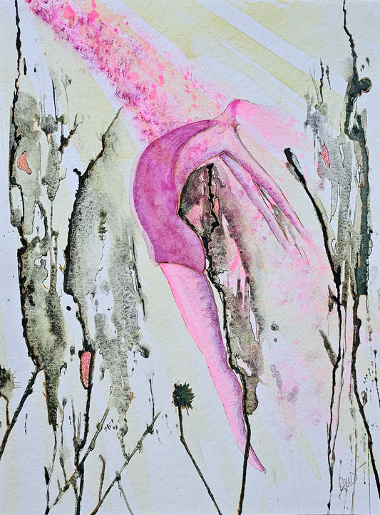 WOMEN 5
