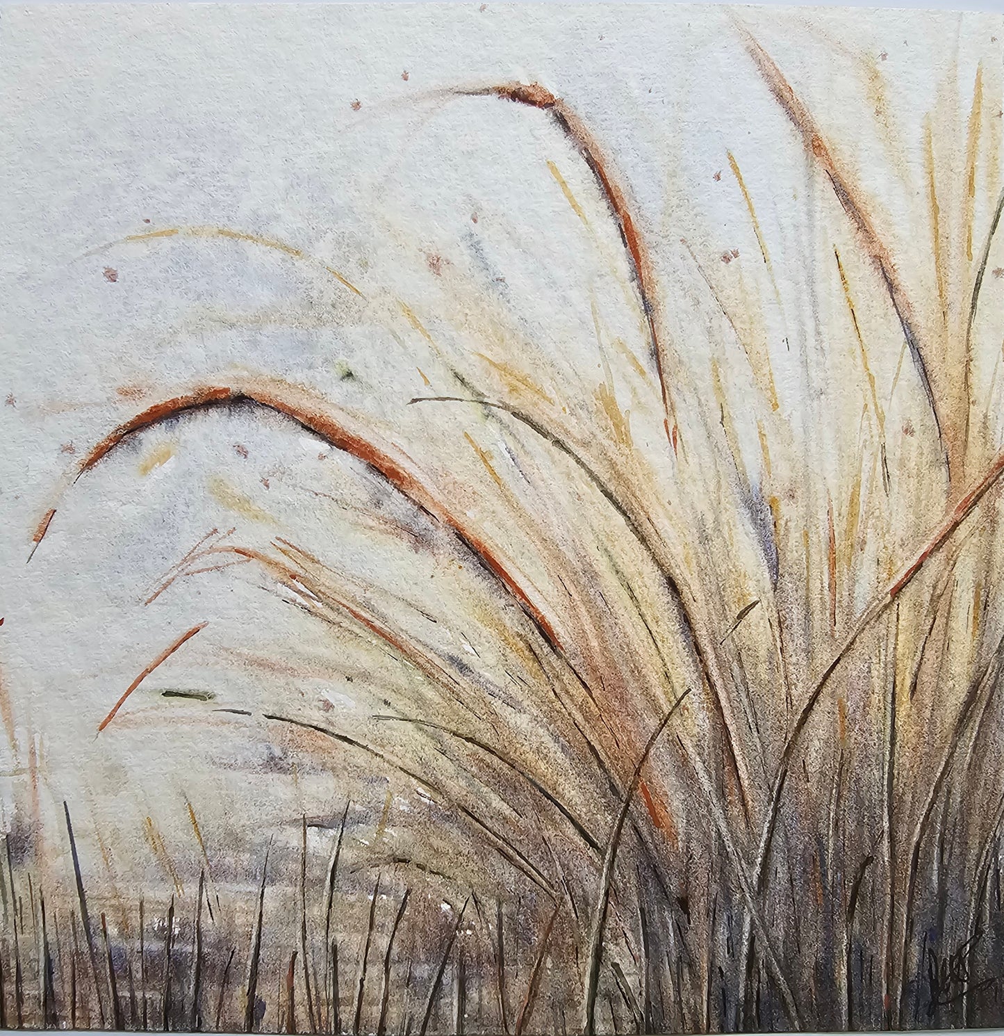 HIVER VEGETAL : UNE BEAUTE ENDORMIE N°1