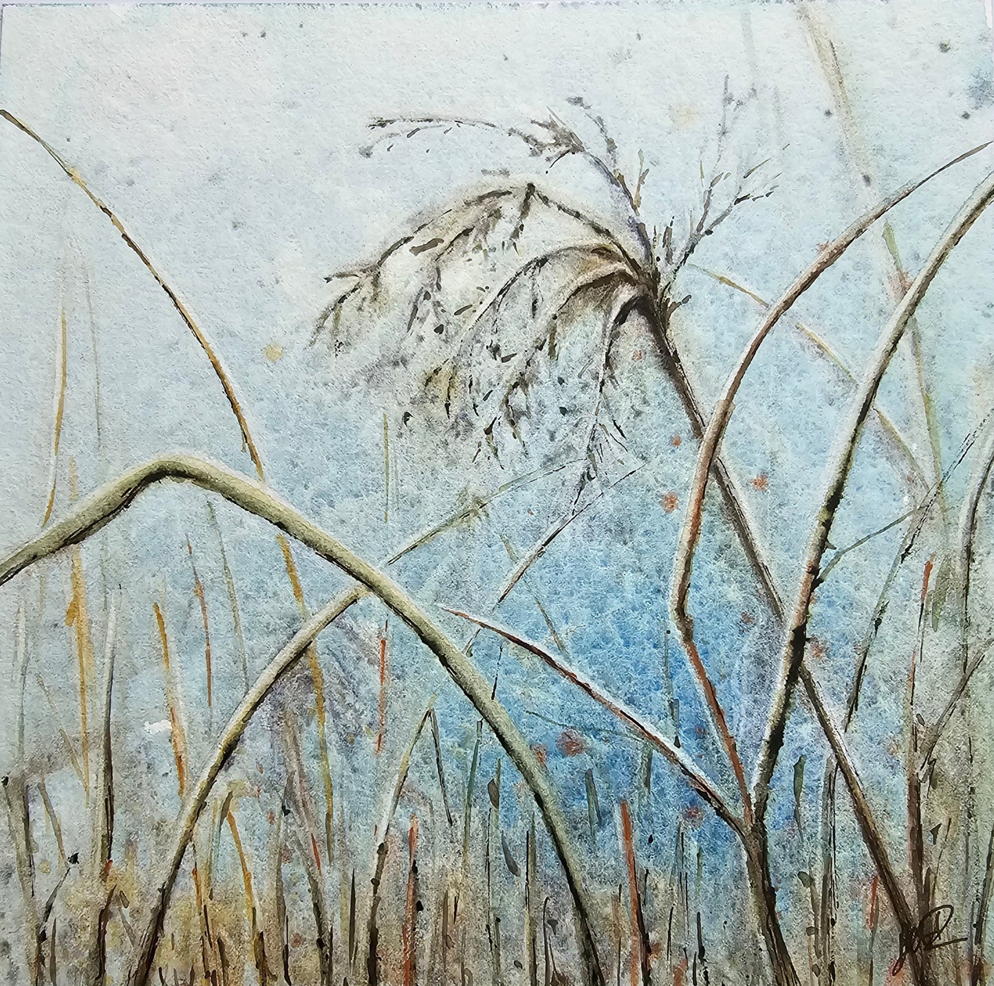 HIVER VEGETAL : UNE BEAUTE ENDORMIE N°3