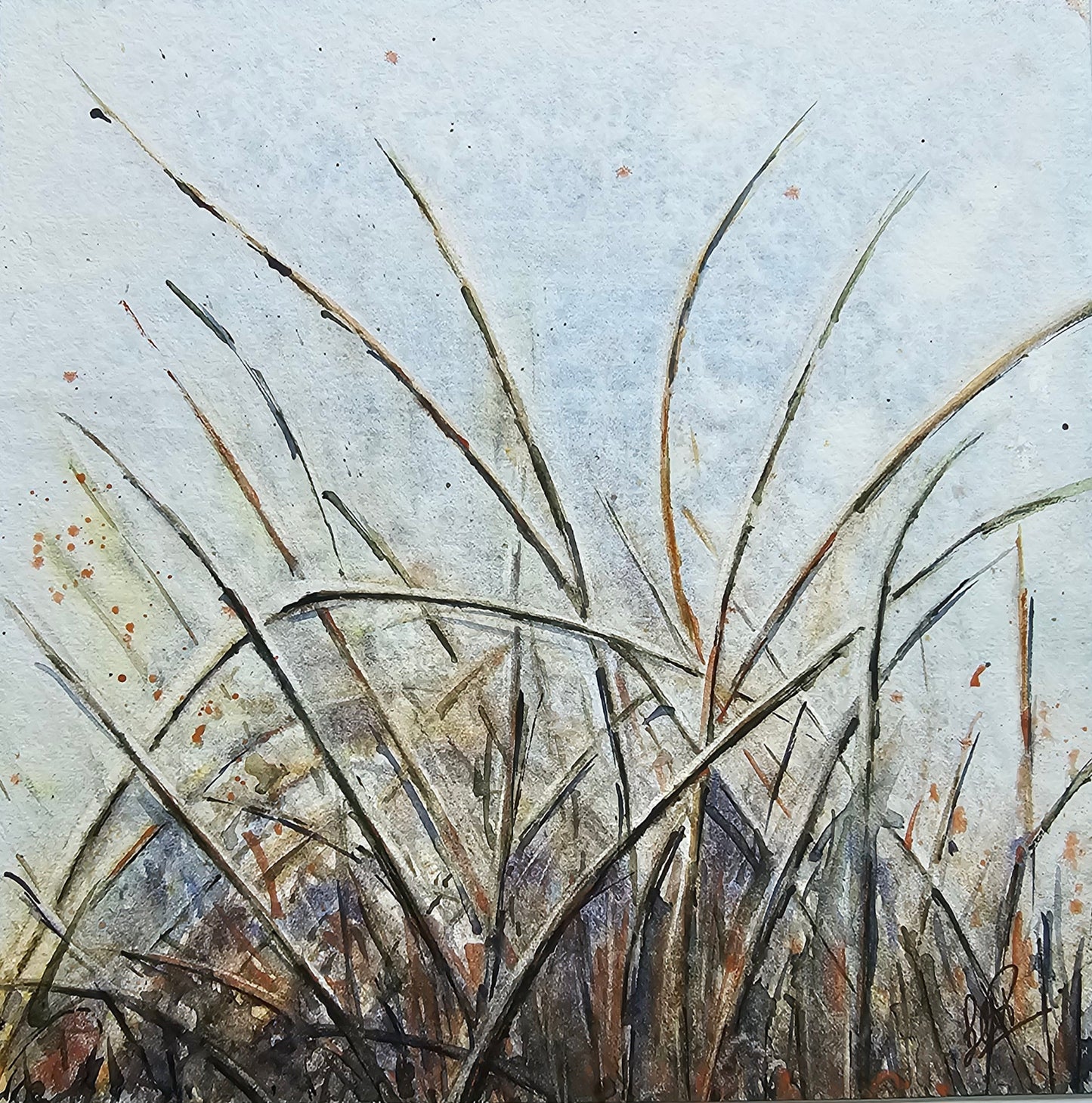HIVER VEGETAL : UNE BEAUTE ENDORMIE N°4