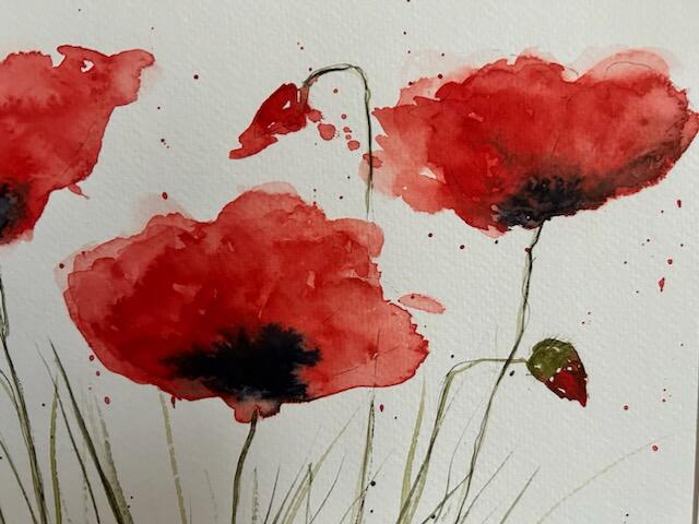 Les coquelicots au bord du chemin