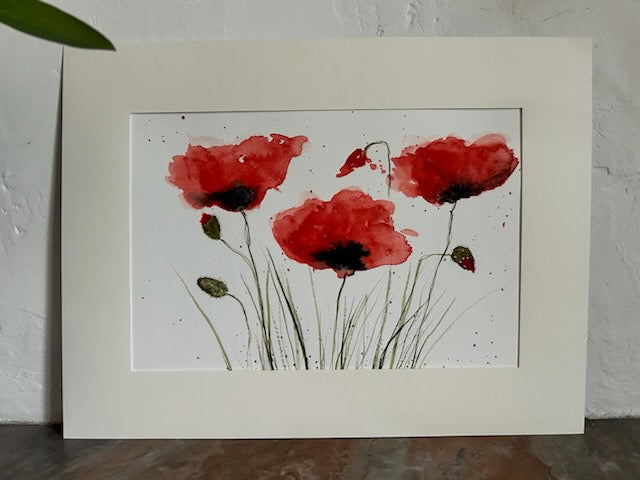 Les coquelicots au bord du chemin