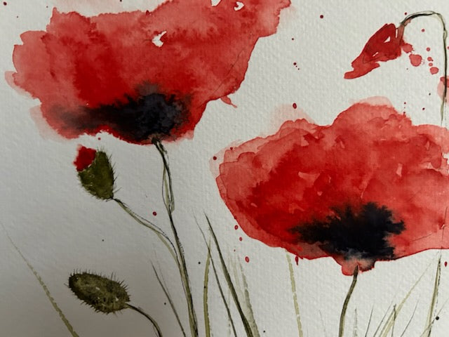 Les coquelicots au bord du chemin