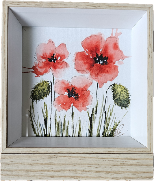 Les coquelicots de Monique