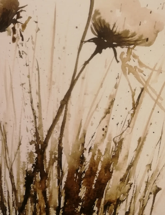 Les fleurs de coton première