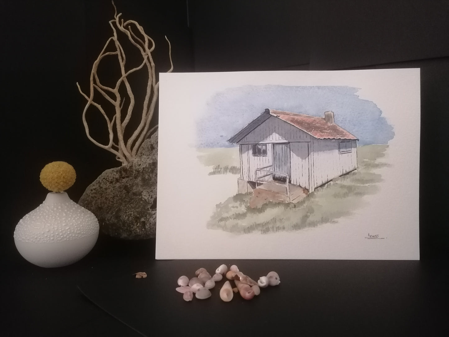 La cabane à huîtres blanche