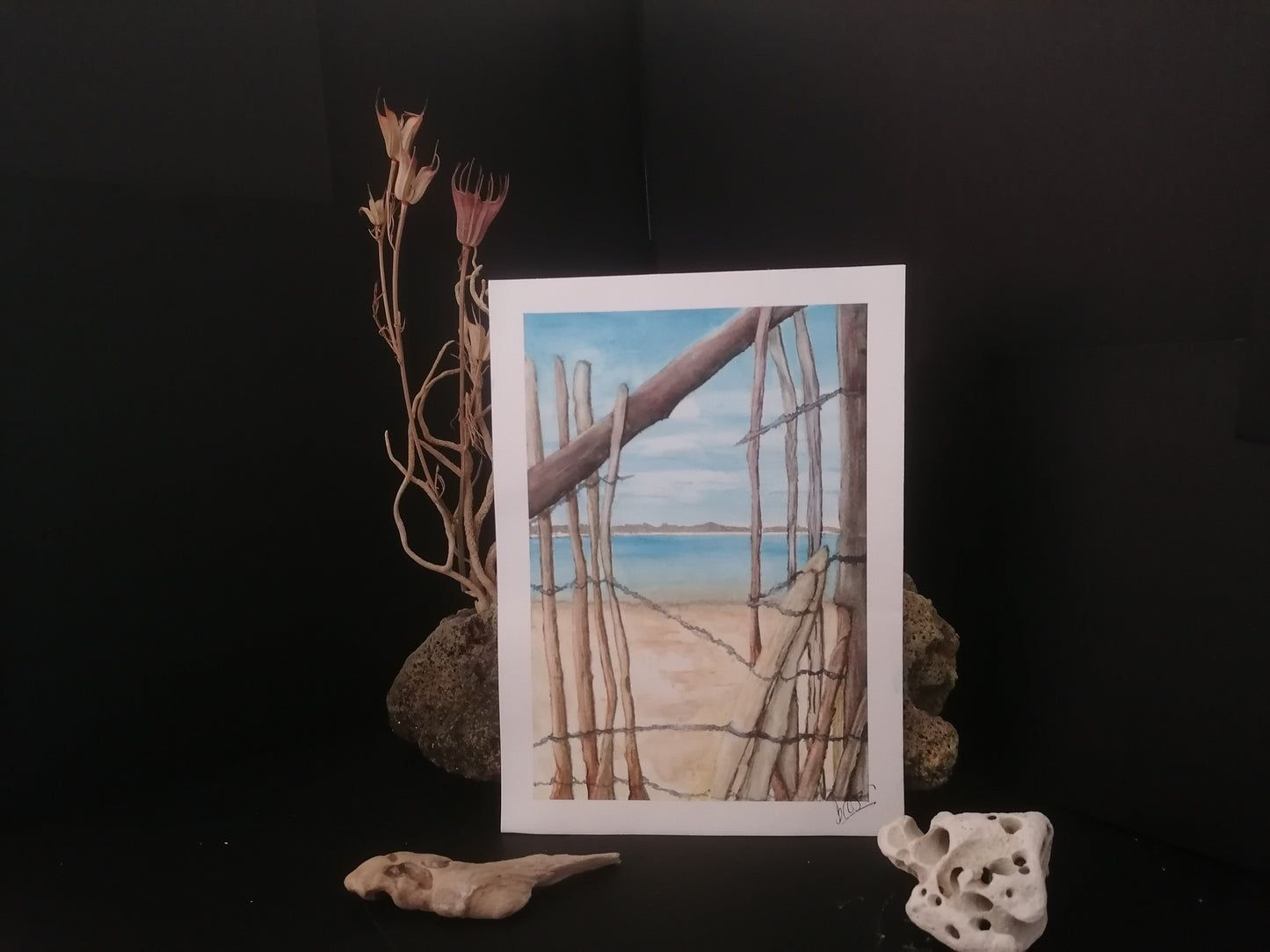 Le bassin d'Arcachon à travers les ganivelles