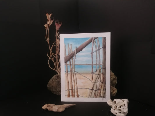 Le bassin d'Arcachon à travers les ganivelles