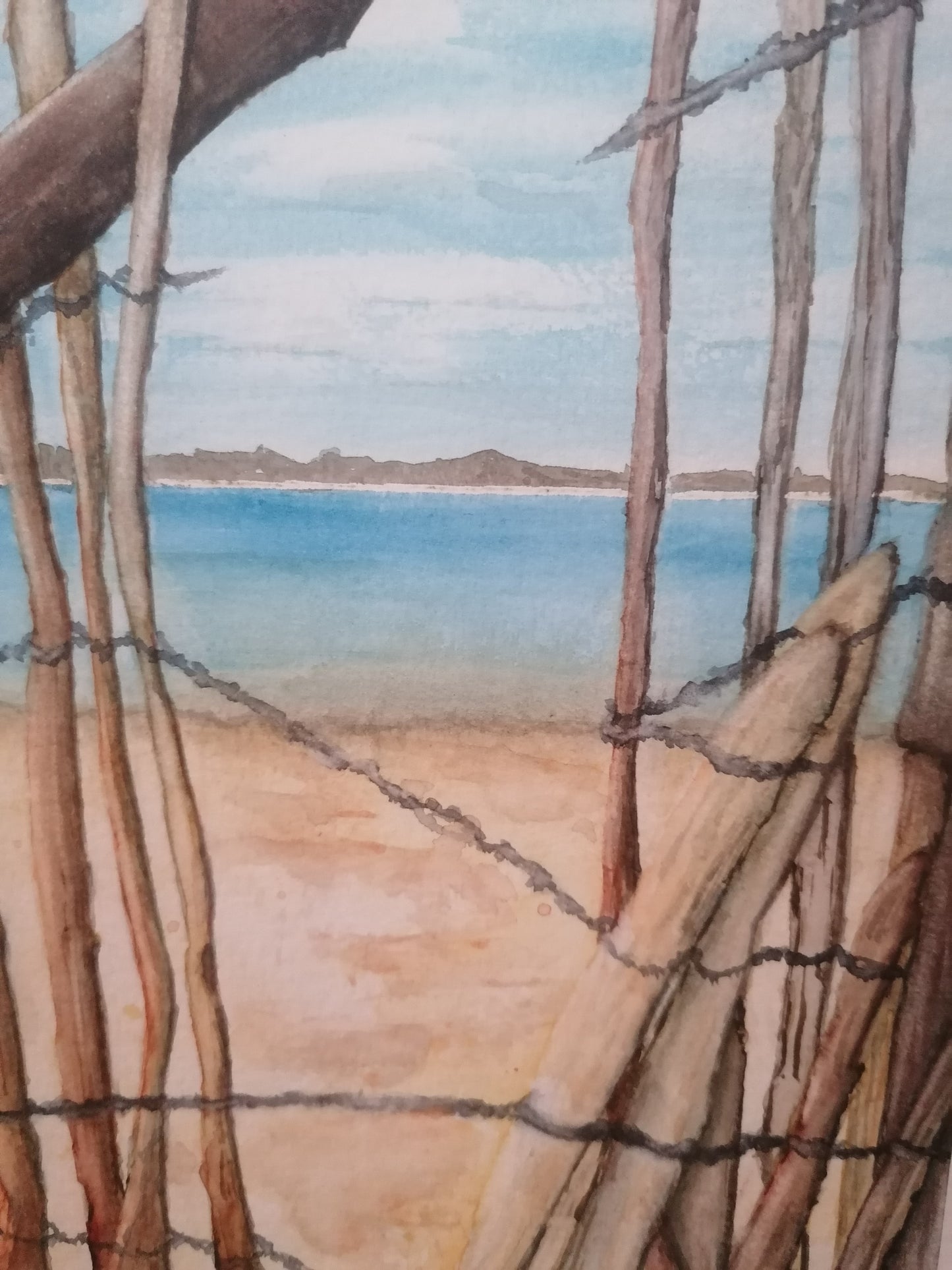 Le bassin d'Arcachon à travers les ganivelles